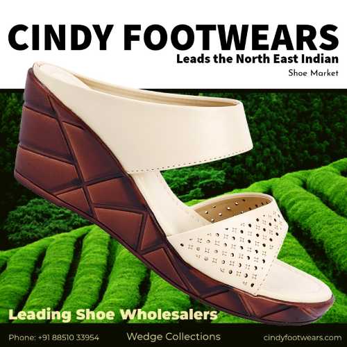 leading shoe wholesaler in north eastern india_cindy footwears